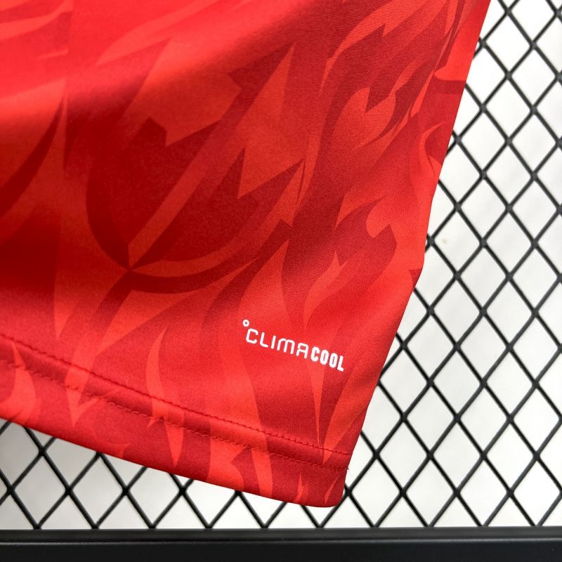 2627 Mens Belgium World Cup Home Jersey